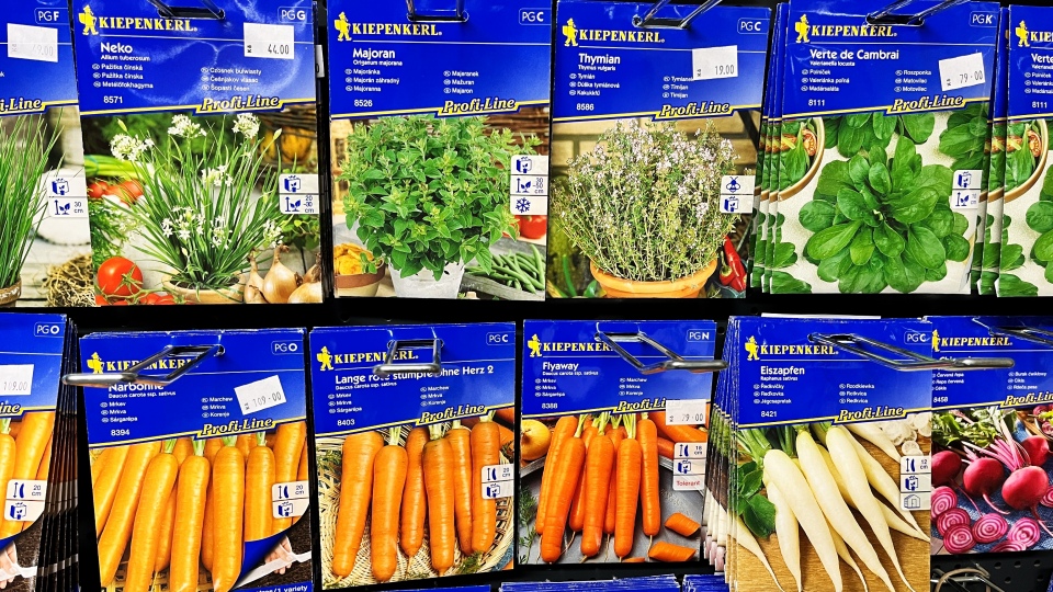 Kiepenkerl sem�nka