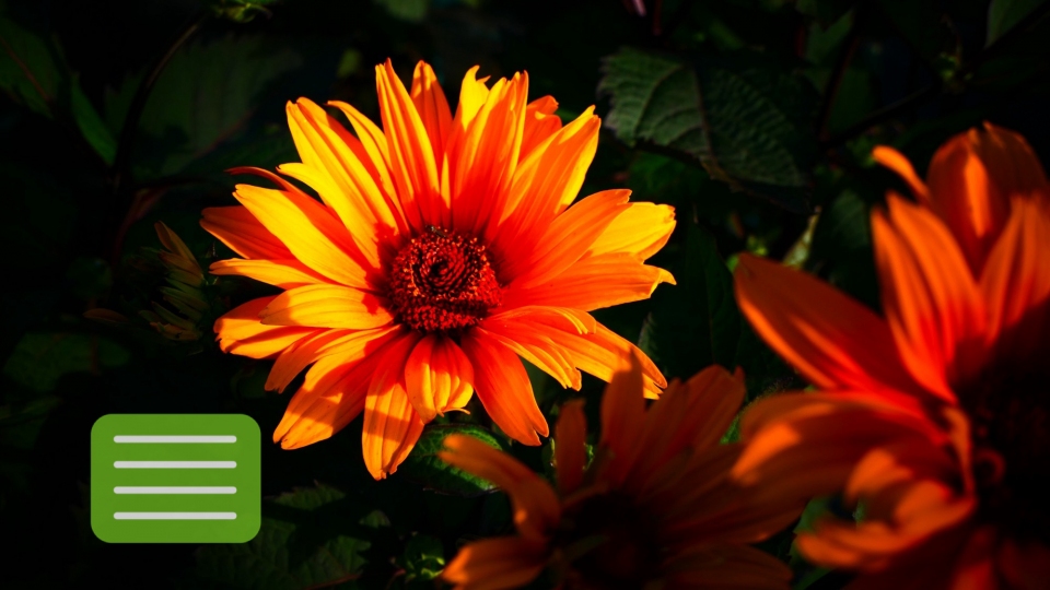 Hled�me nov� kolegy!