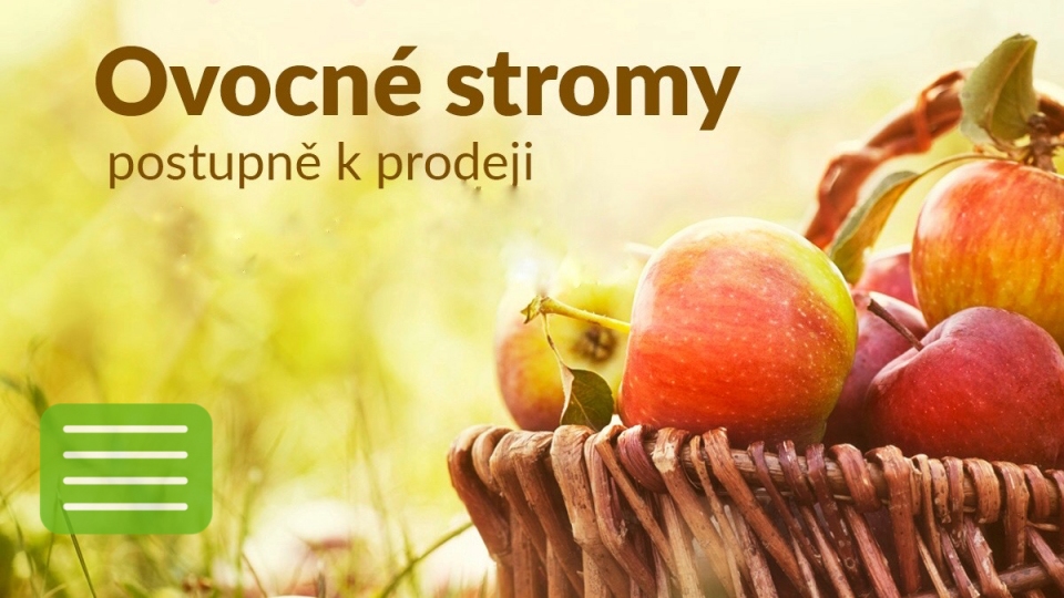 Prodej prostokoennch ovocnch ke a stromk